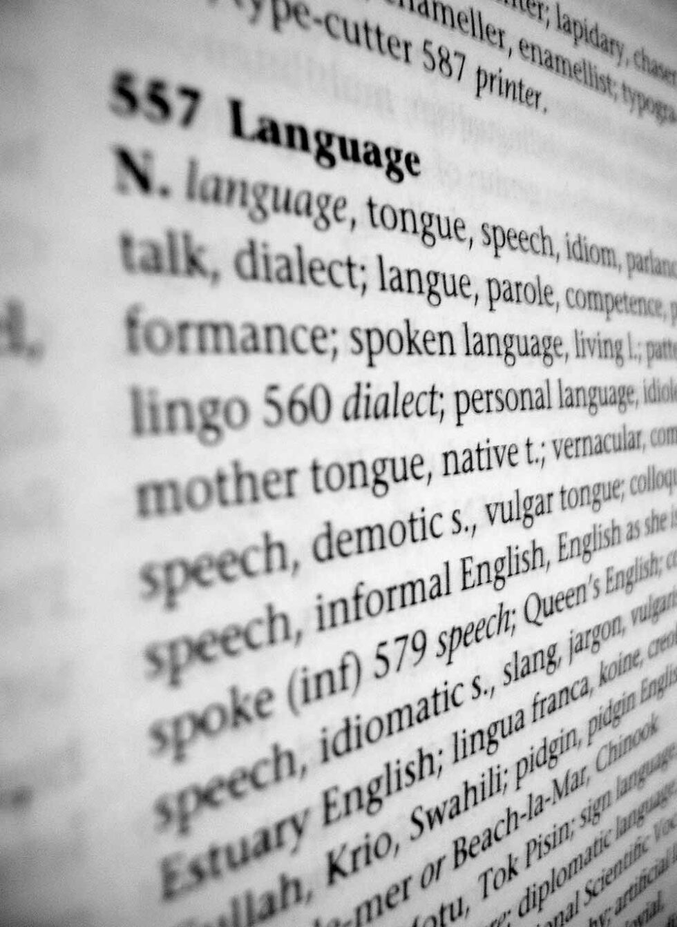 language-facts-fun-fact-feed