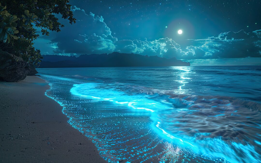 The Magic of Bioluminescent Waves: Nature’s Nighttime Light Show