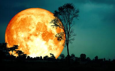 The Harvest Moon Allowed Farmers to Work Late into the Night