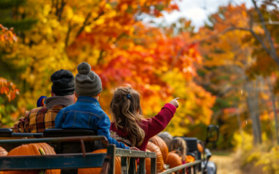 Hayrides Used to Actually Carry Hay!