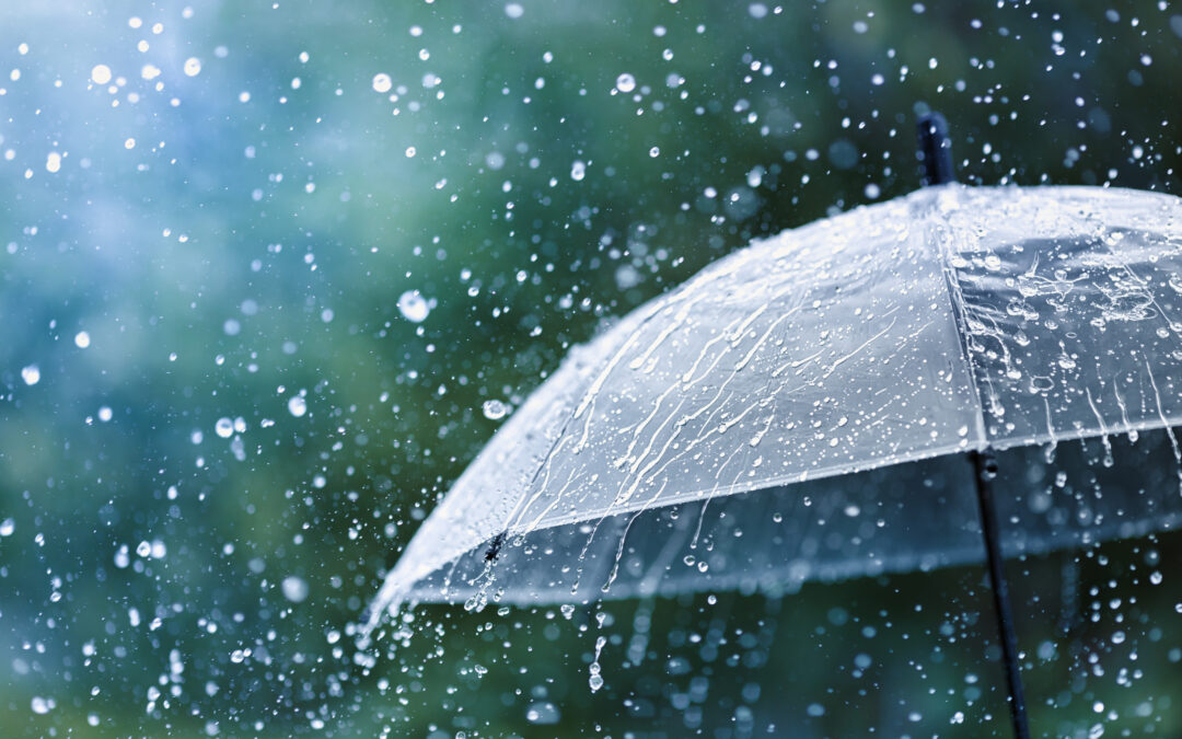 The Origins of the Umbrella: From Sunshade to Rain Shield