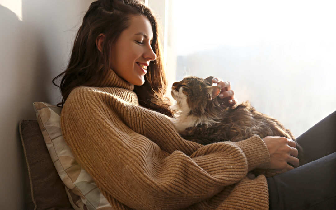 The Science of Purring: Why Cats Do It and Why We Love It