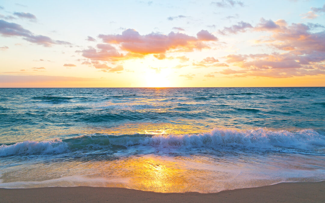 Why the Ocean Is Salty: A Tale of Rocks, Rain, and Time