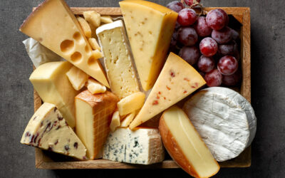 The History of Cheese—From Ancient Craft to Culinary Art