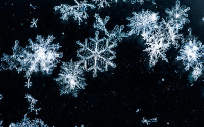 The World’s Largest Snowflake: A Winter Wonder