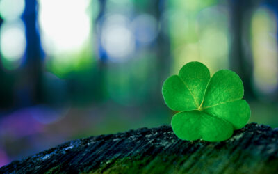 The Origins of the Shamrock—A Symbol of Ireland